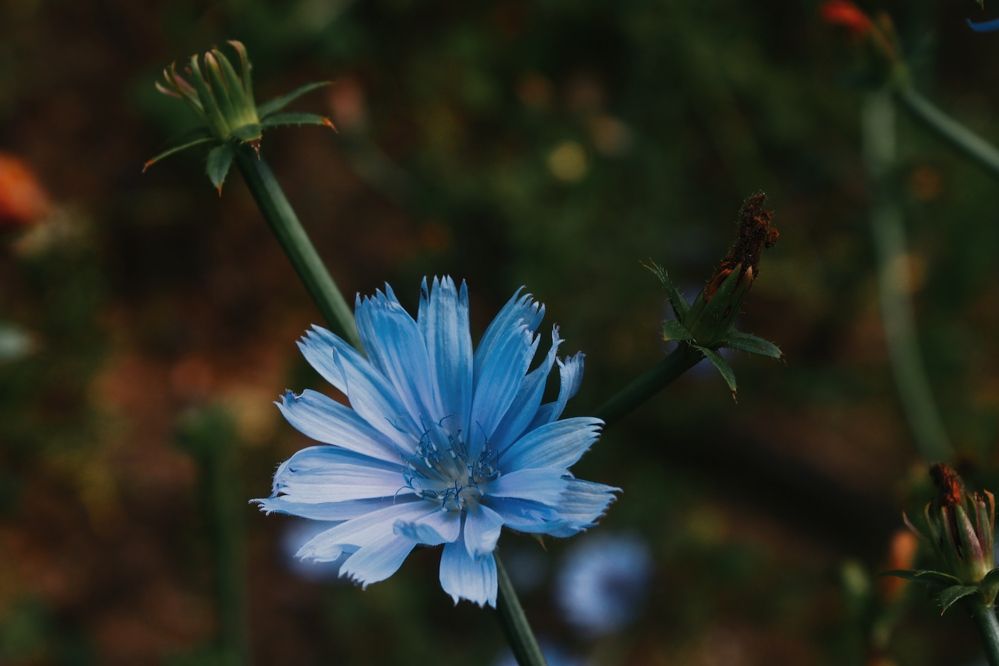 Photograph by Любовь