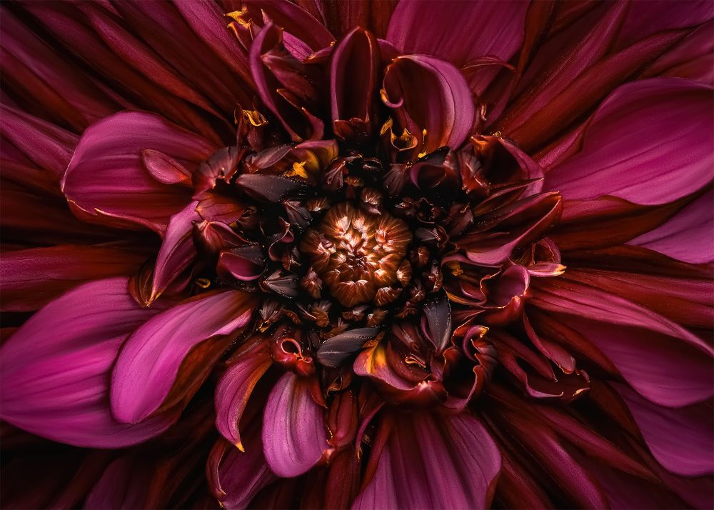 Фотография автора  Eirene