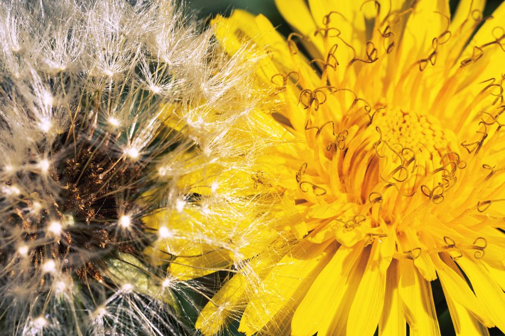 Фотография автора Ирина Гриценко