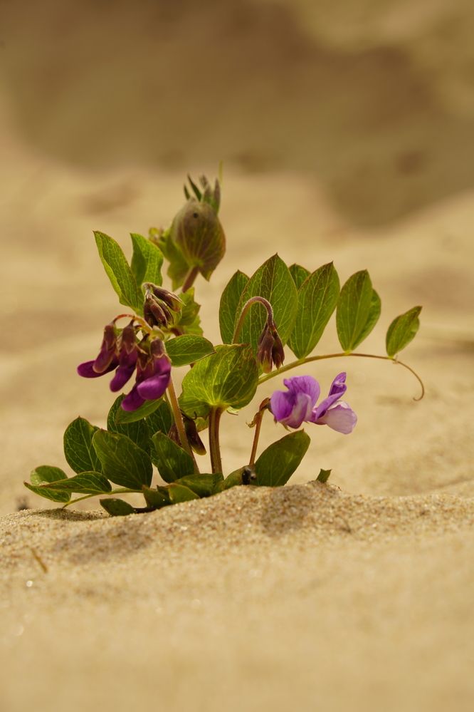 Фотография автора Юлия Овчинникова