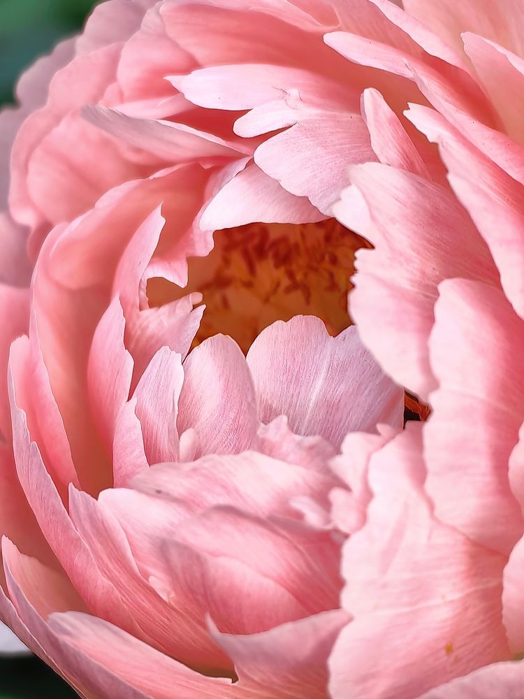 Photograph by Анастасия Доронкина