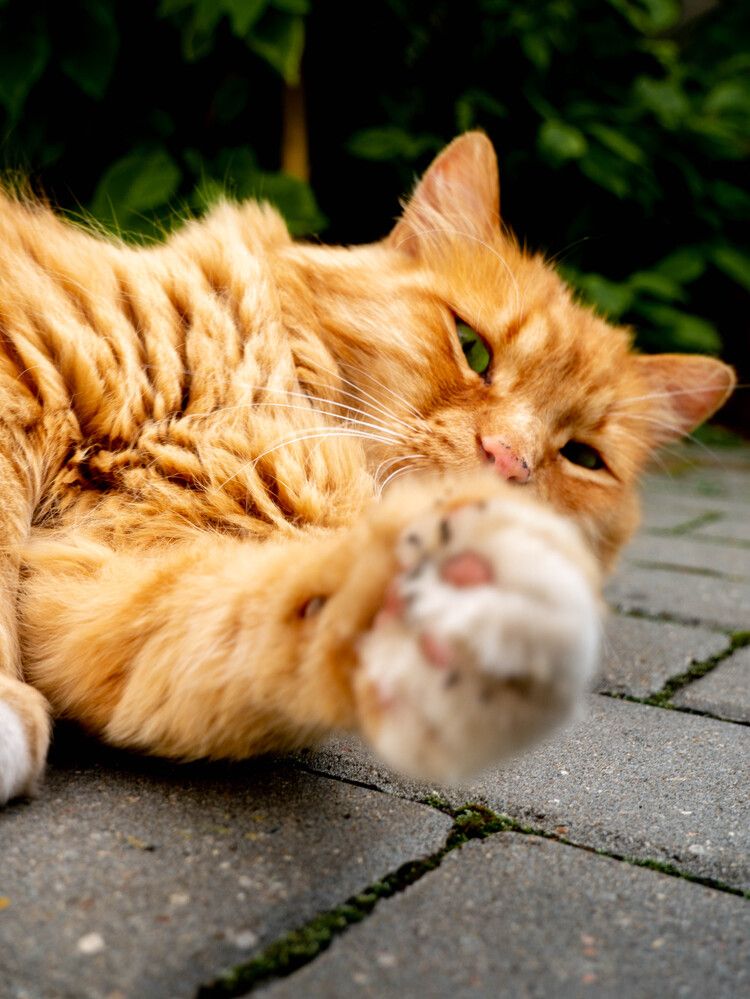 Photograph by Виктория Максюта