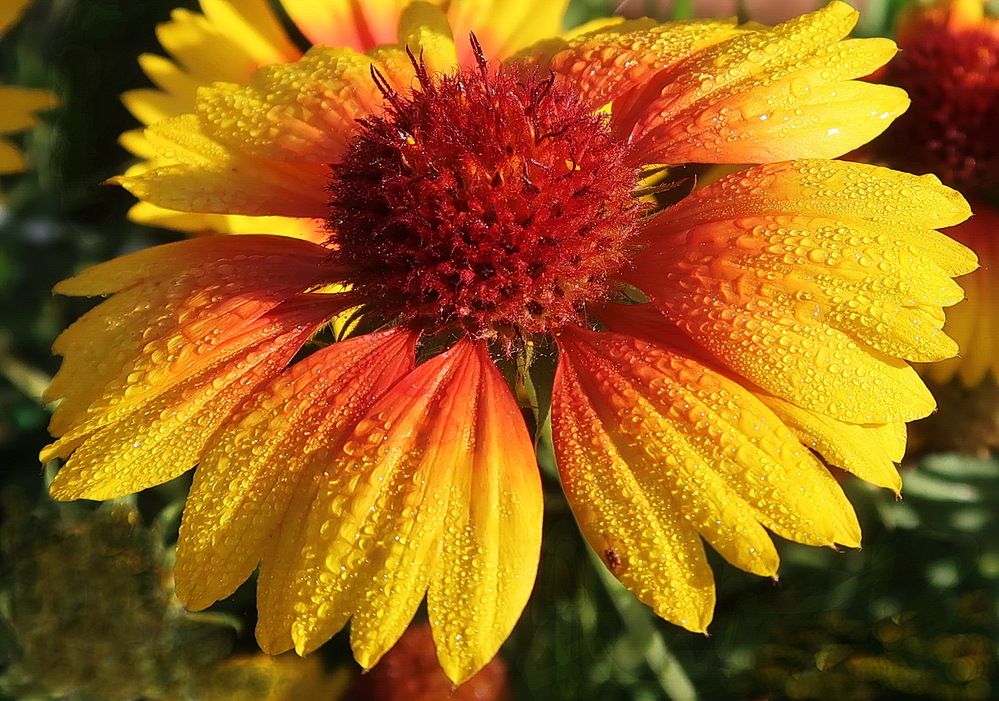 Photograph by Нина