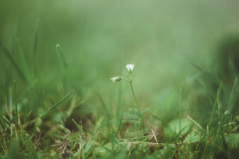 Photograph by Алексей Чеботарев