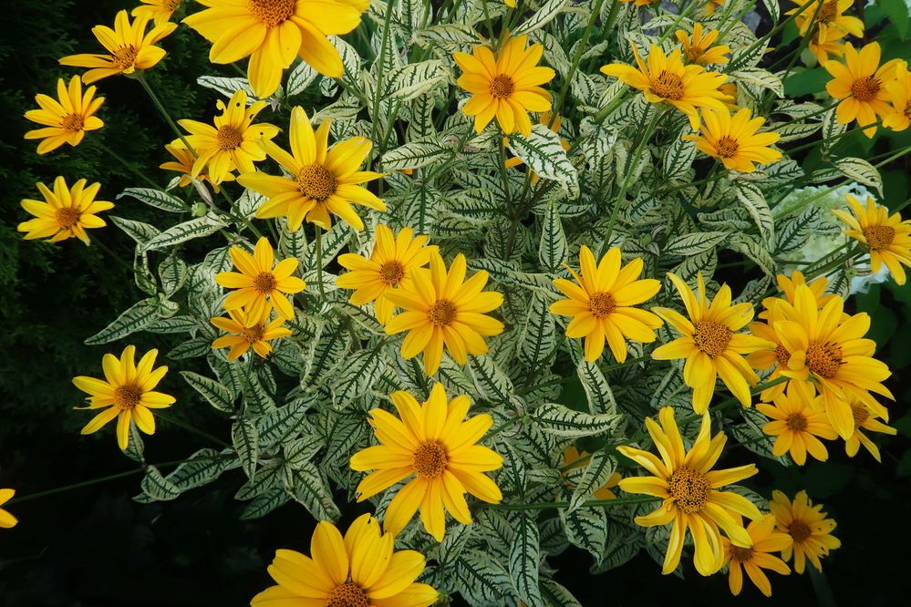 Photograph by Нина