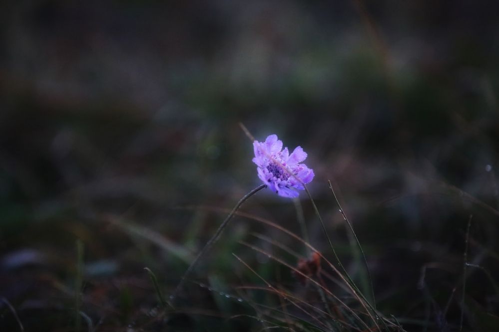 Photograph by Oksana Shchegolkova