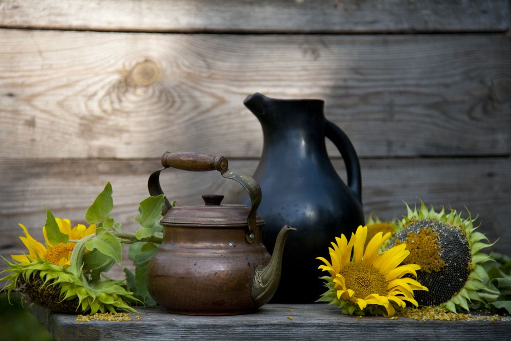 Photograph by Tatiana Troitskaya