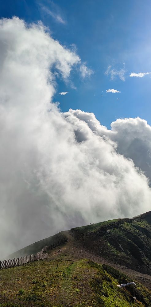 Photograph by Анастасия Семилетова