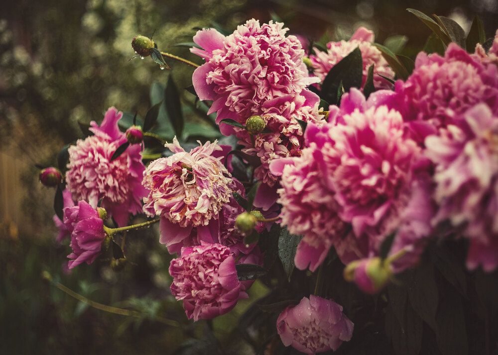 Photograph by Анна Гордейко