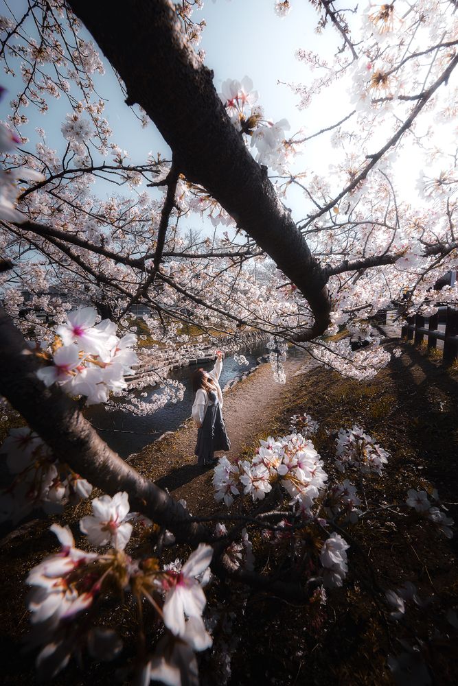 Фотография автора i_ ha__to