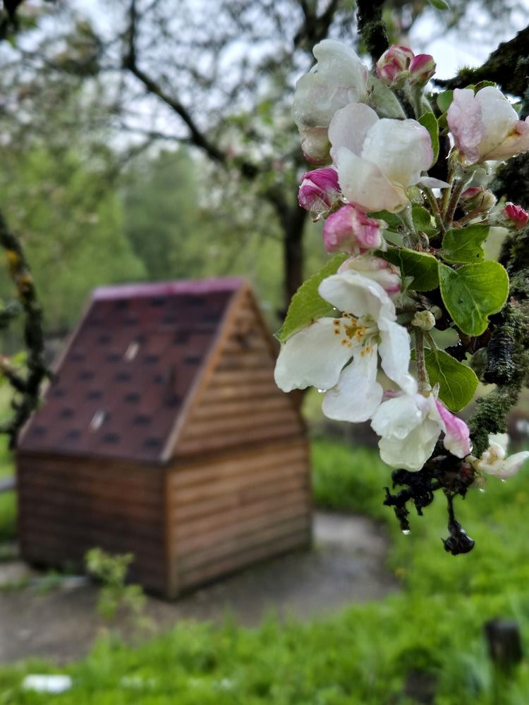 Photograph by Анастасия Модель