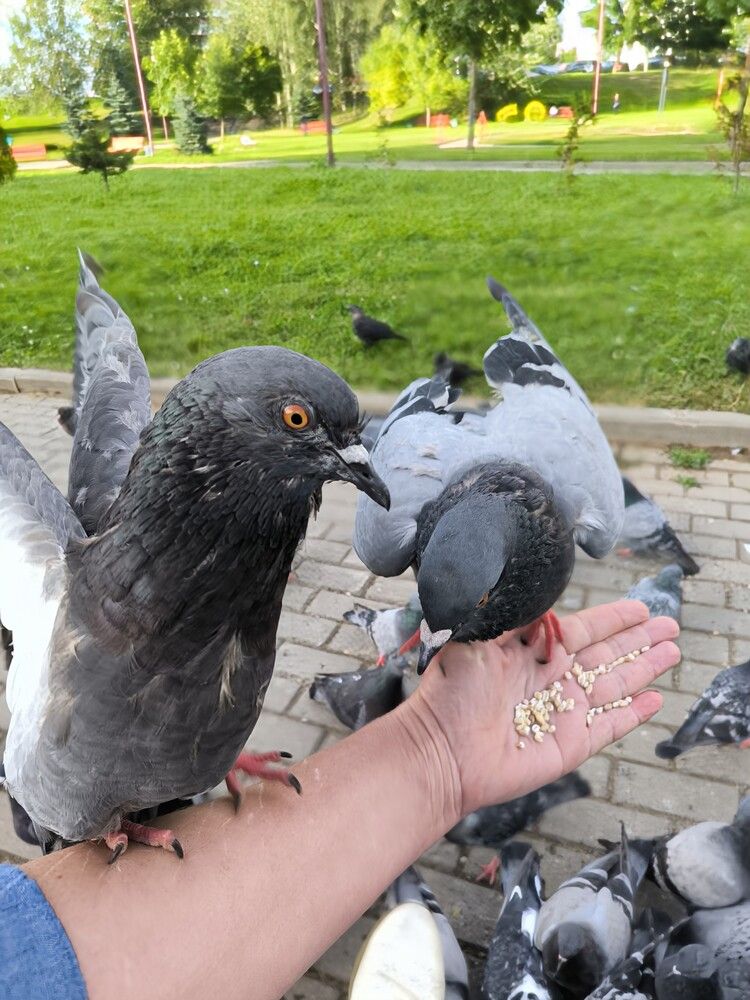 Photograph by Татьяна Яцкевич