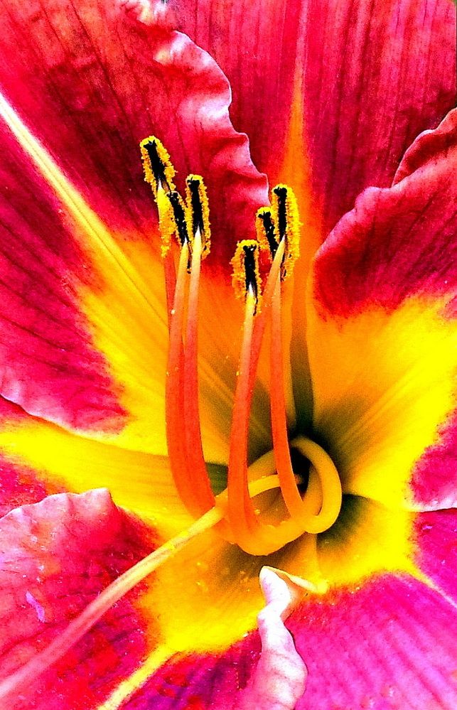 Photograph by Александр Бастраков