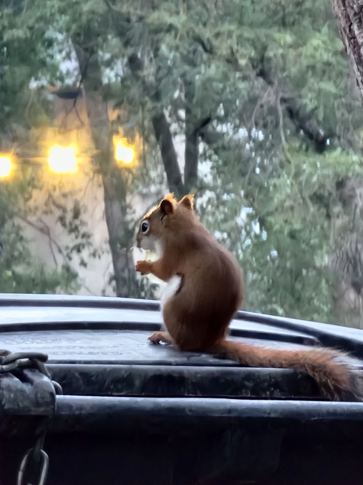 Фотография автора Al