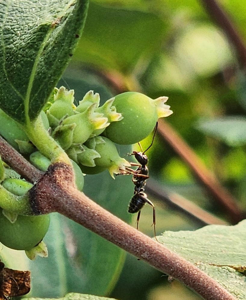 Фотография автора Al