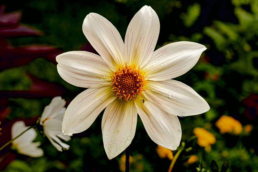 Photograph by Вячеслав Ват