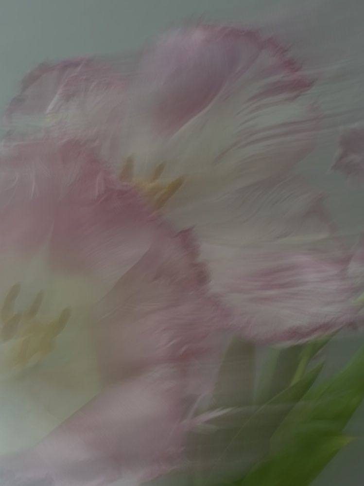 Photograph by Наталья Супрунюк