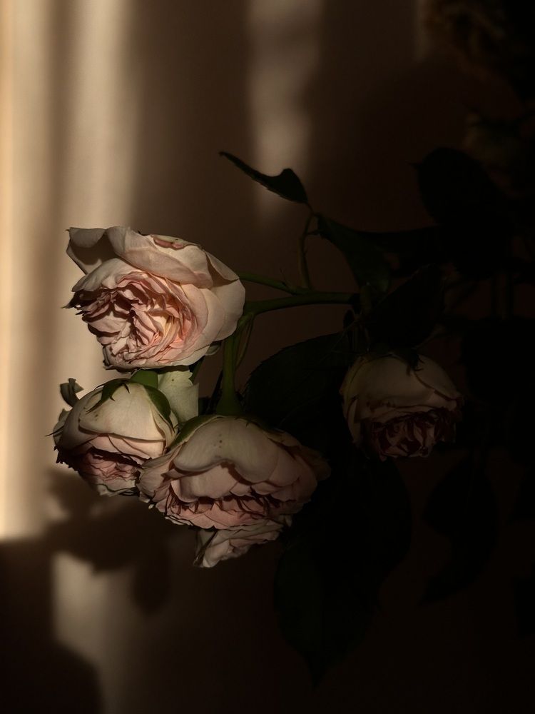 Photograph by Наталья Супрунюк