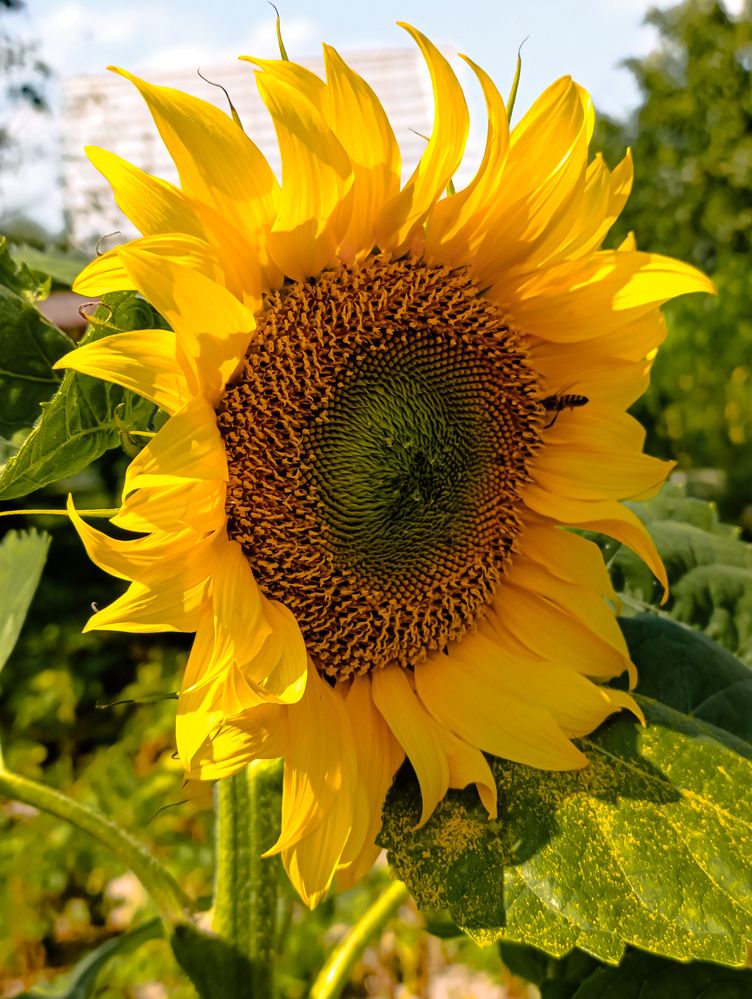 Photograph by Светлана Таркан