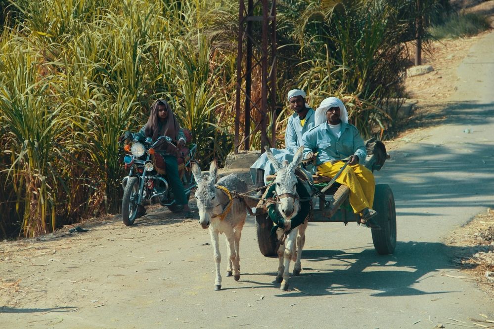 Photograph by Герасимов Игорь