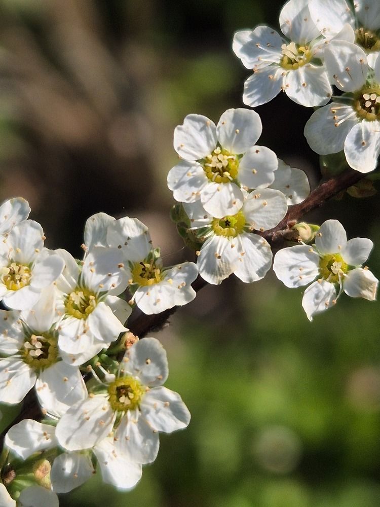 Photograph by Анастасия Модель