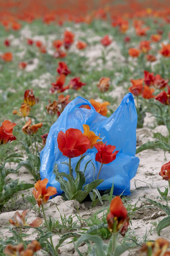 Photograph by Ali Ospan