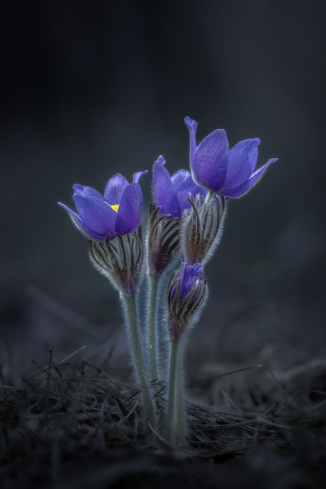 Photograph by Alexander Semenko