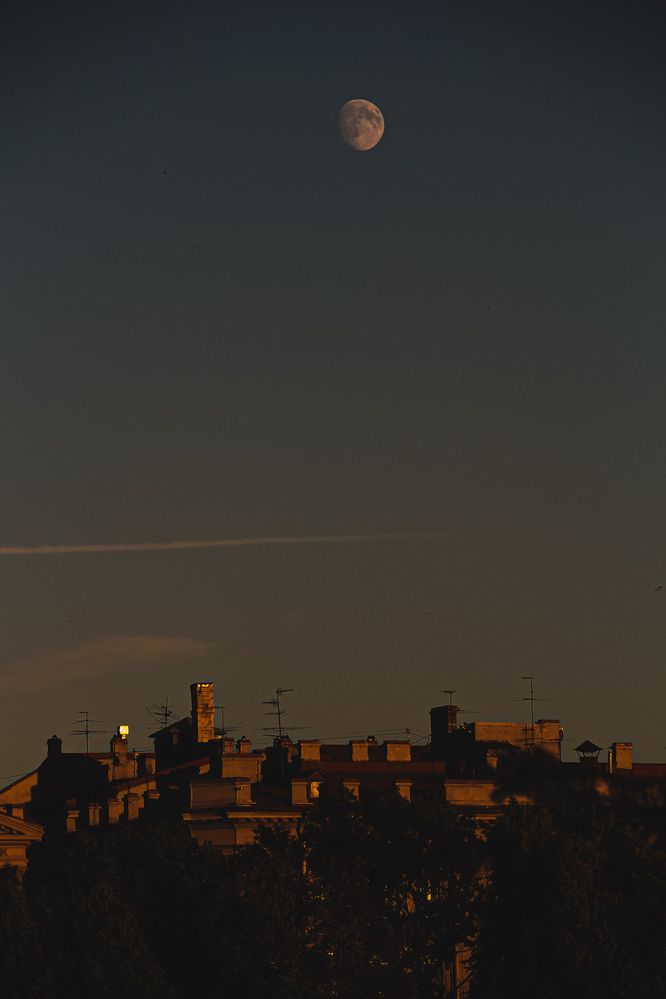 Фотография автора Алиса Исаева