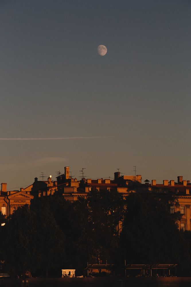 Фотография автора Алиса Исаева