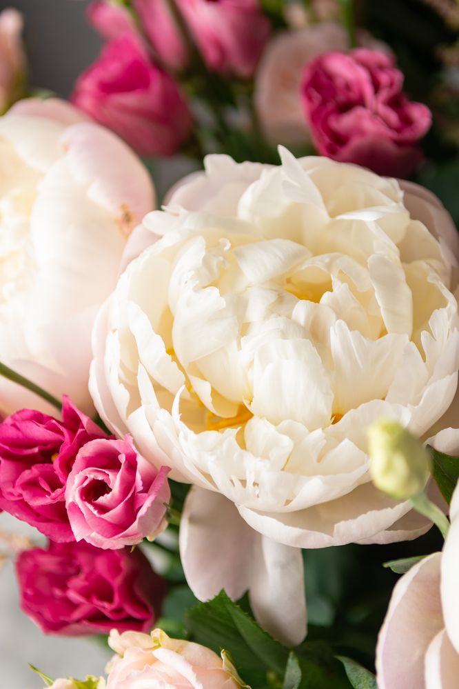 Photograph by Эмилия Лаце