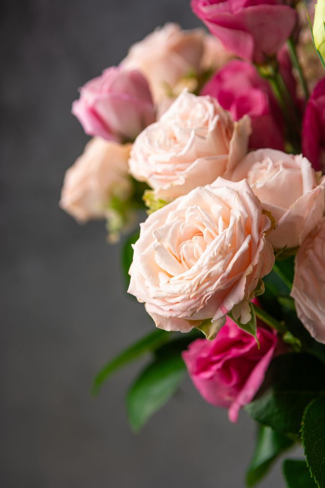 Photograph by Эмилия Лаце