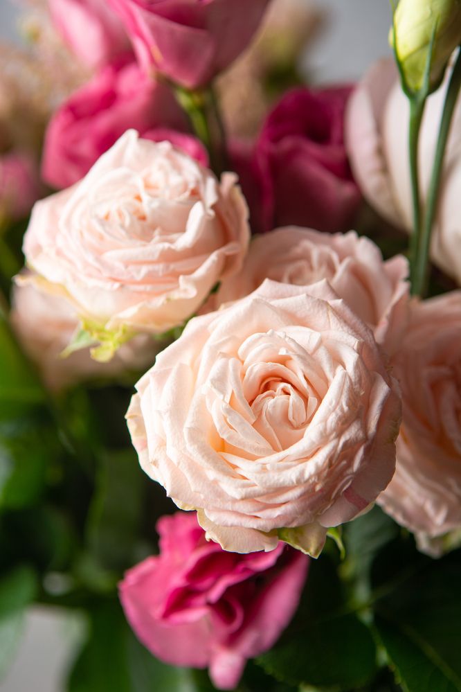 Photograph by Эмилия Лаце