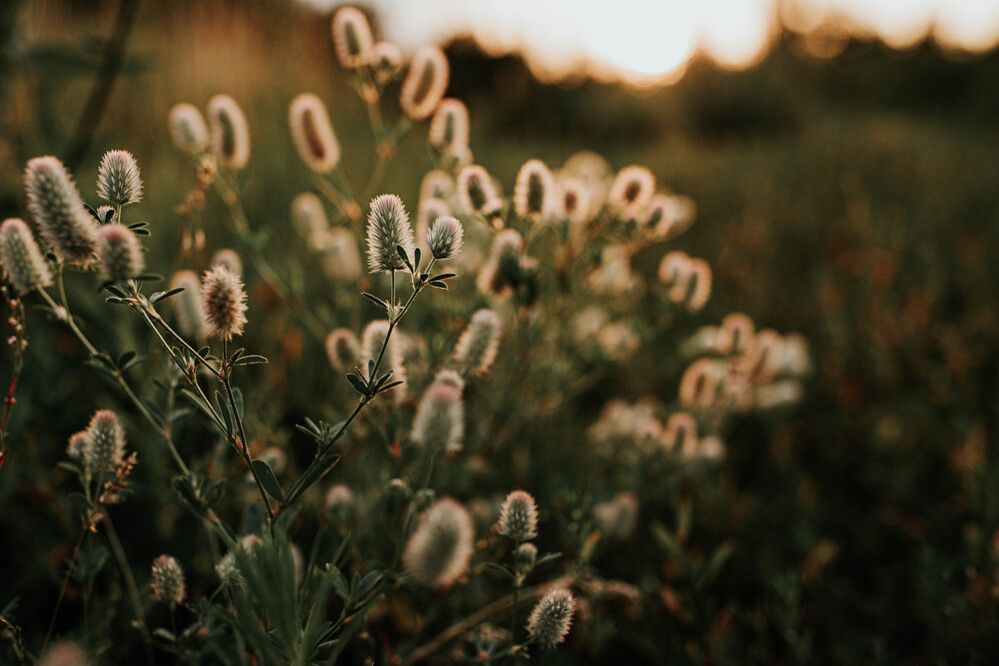 Фотография автора Lubov Maslova