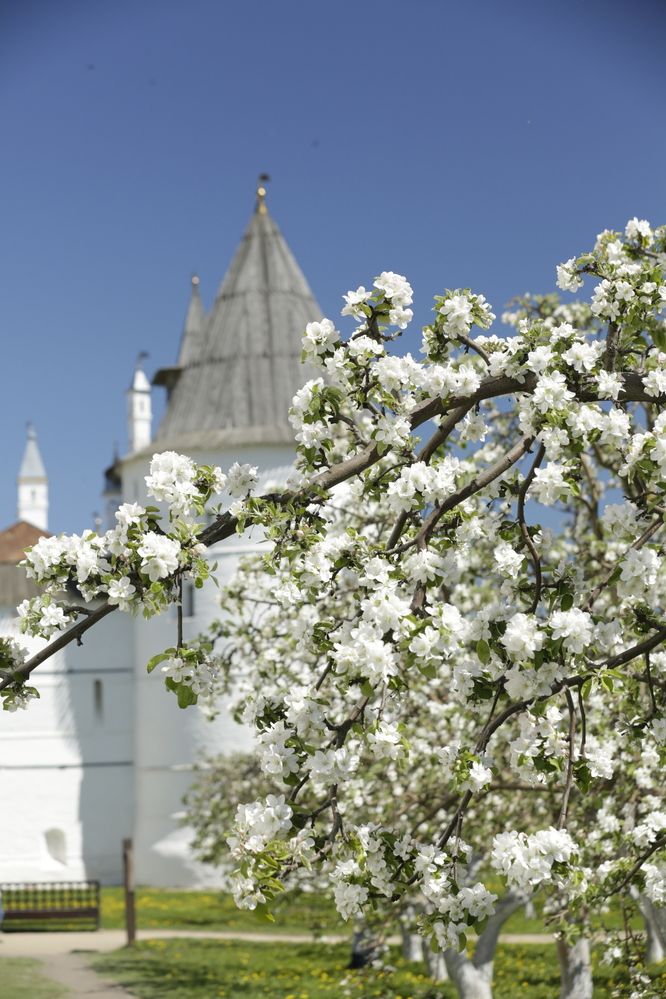 Photograph by Oksana Shchegolkova