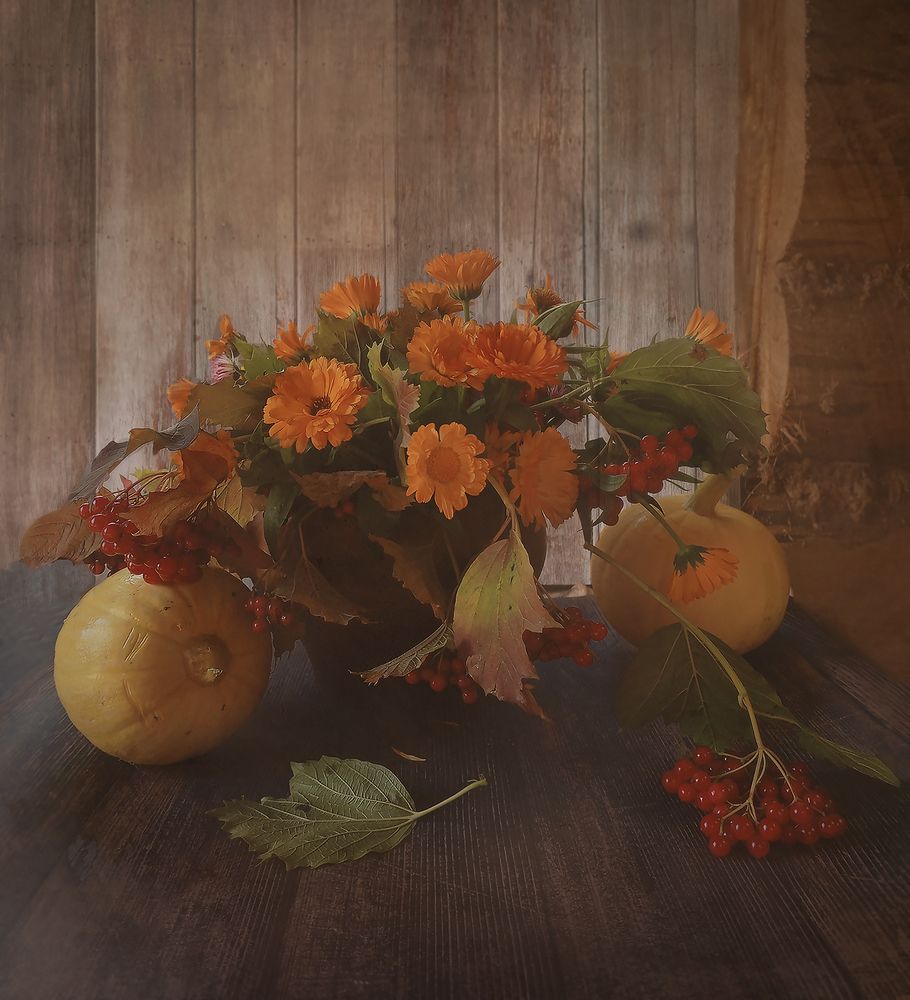 Photograph by Sidorova Kazza