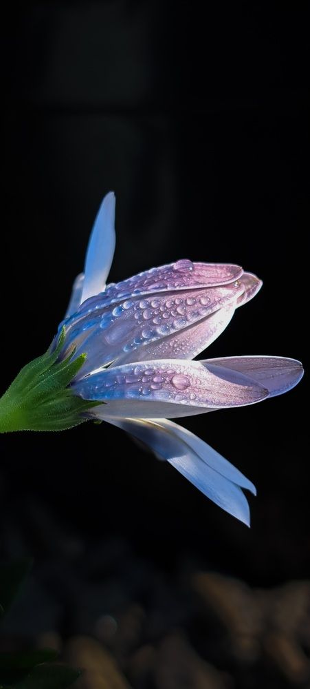 Photograph by Галина Перепечаева