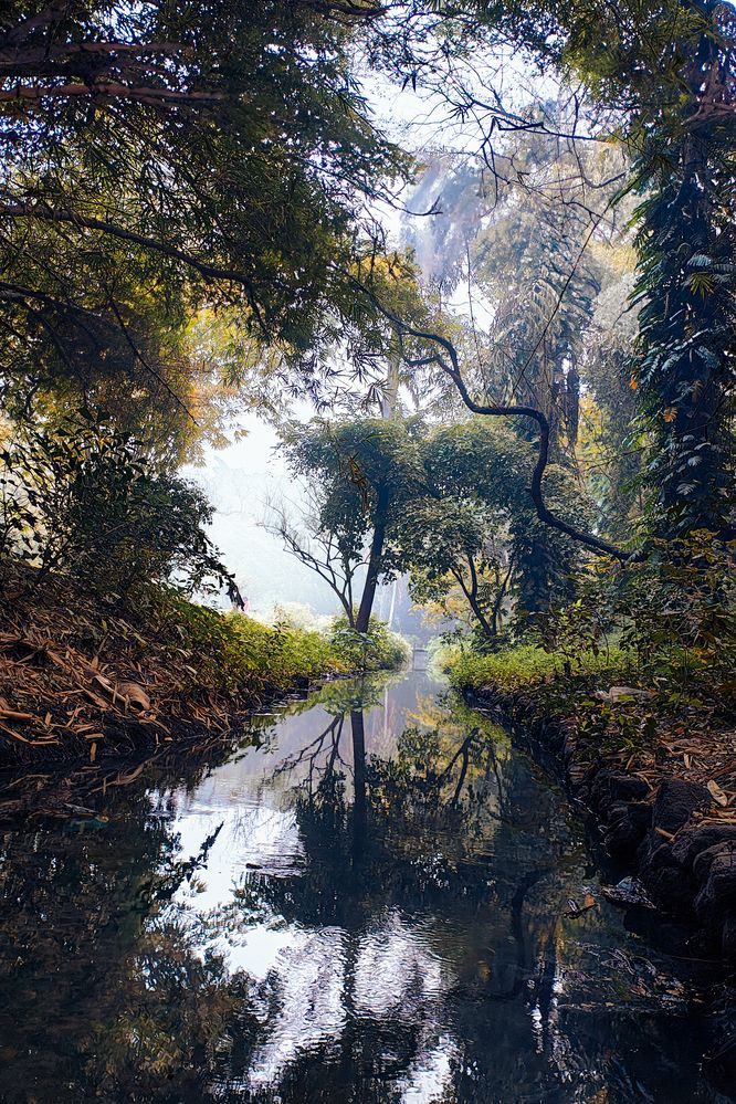 Photograph by Mihir Masurkar