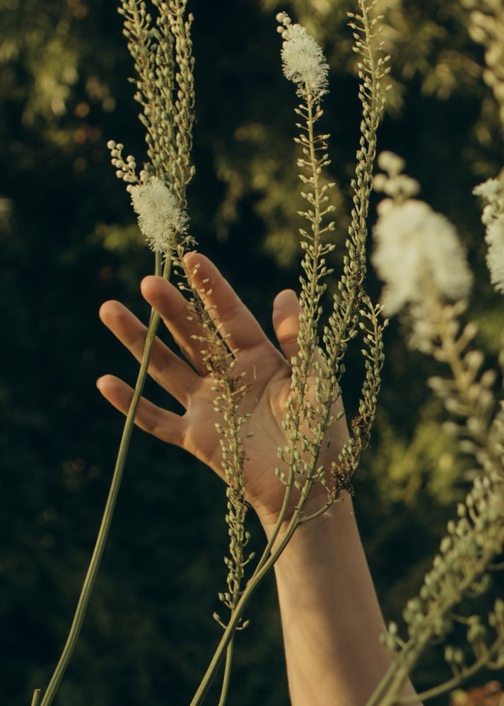 Фотография автора Ирина Богоносова