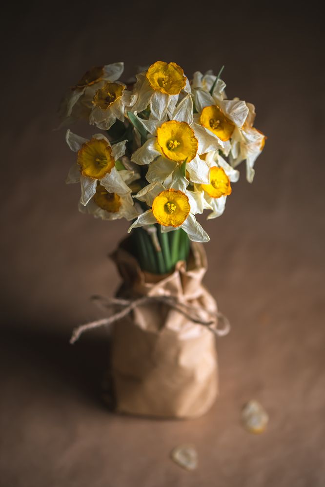 Photograph by Ольга Ильина