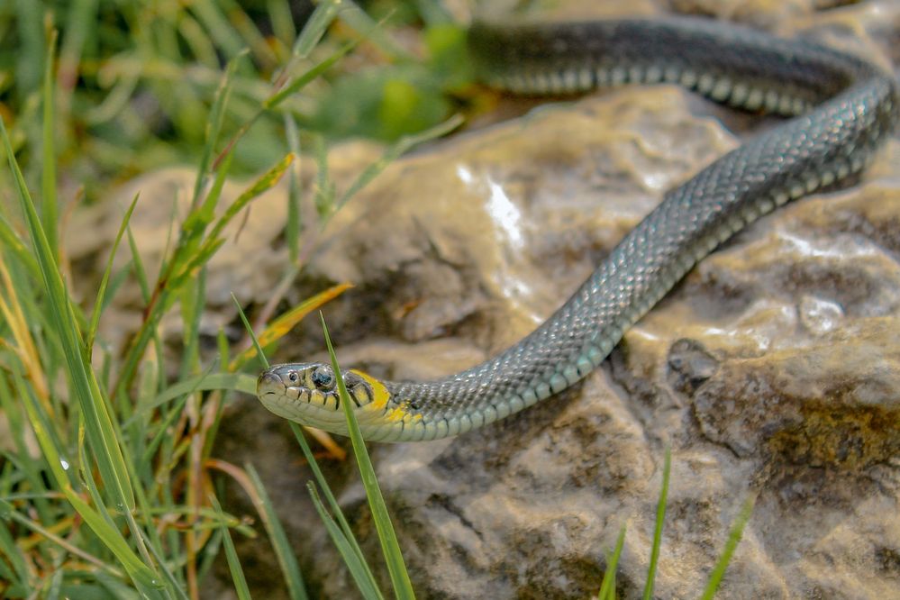 Photograph by Александр Суворов