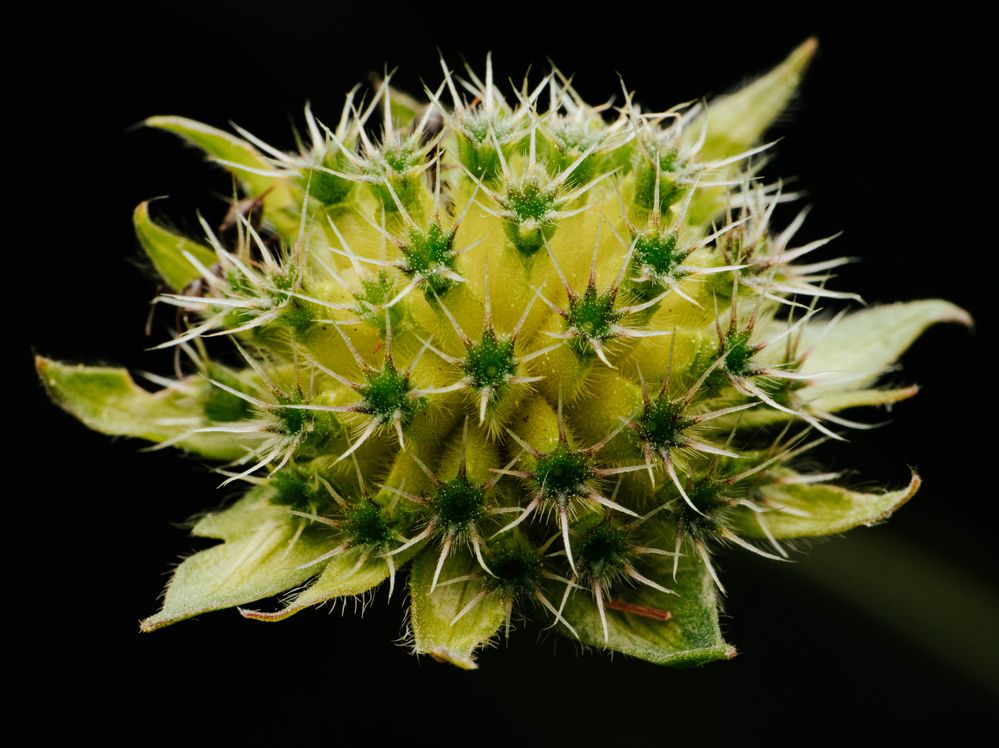 Фотография автора Lubov Maslova