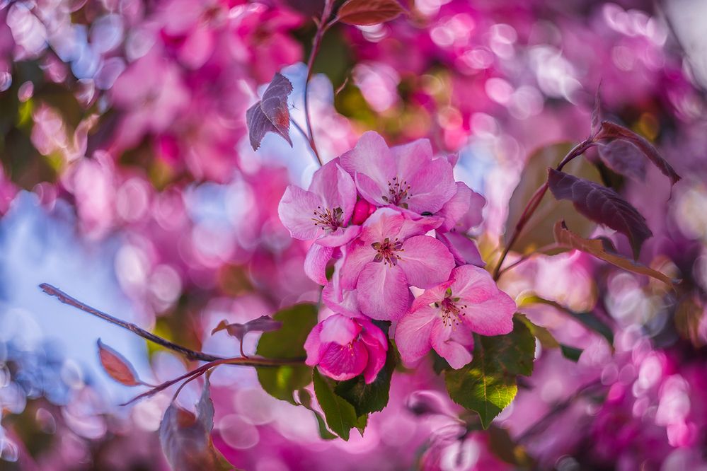 Photograph by Евгений Гонтов