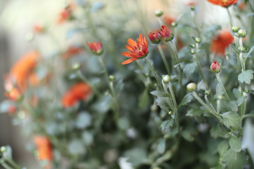 Photograph by Виктор