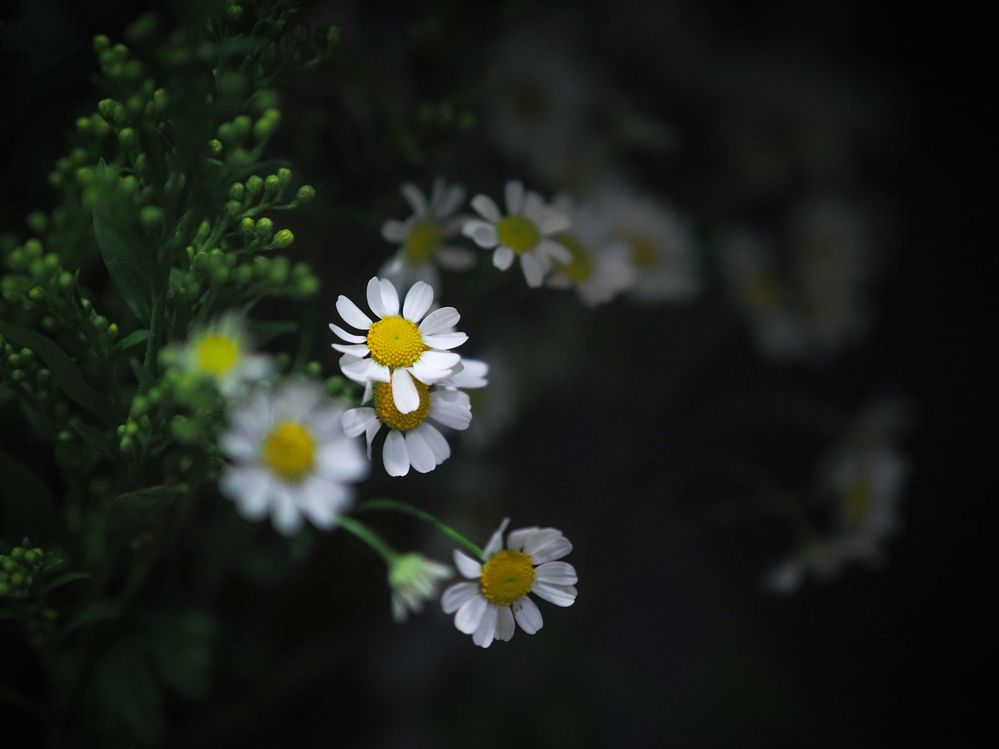 Photograph by Виктор