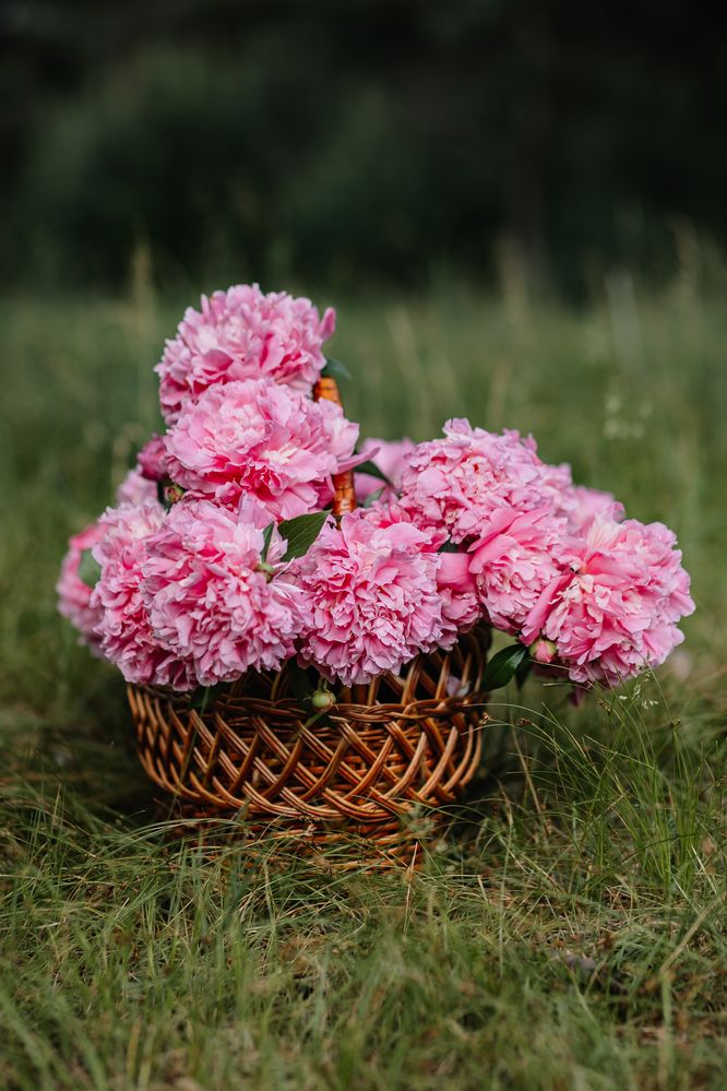 Photograph by Екатерина Будакова