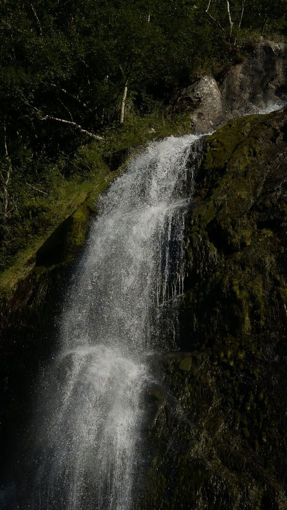 Photo #12498111