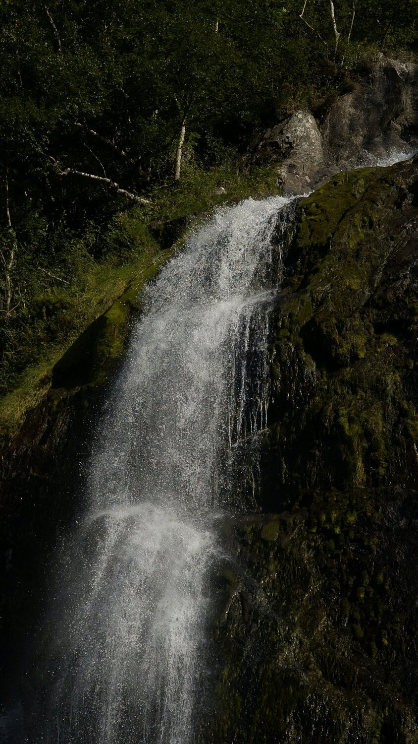 Photo #12498111