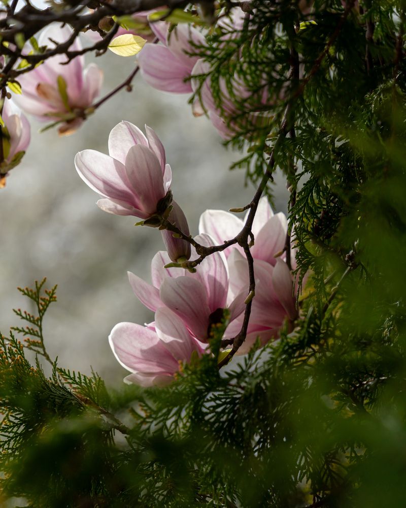 Photograph by Anton Leonchikov