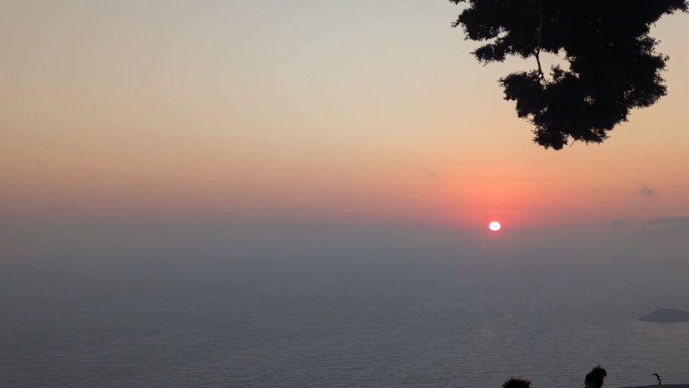 Photo #12498120