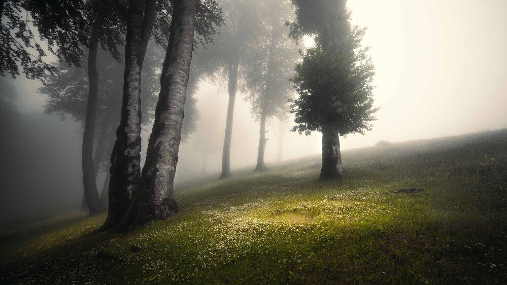 Photograph by Morteza Ghanbari